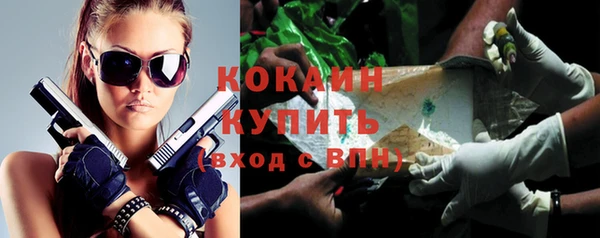 тгк Алексин