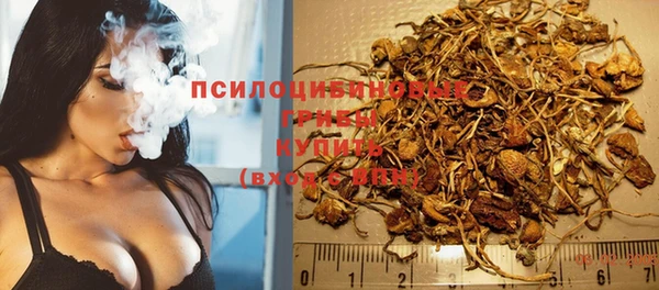 стафф Алзамай