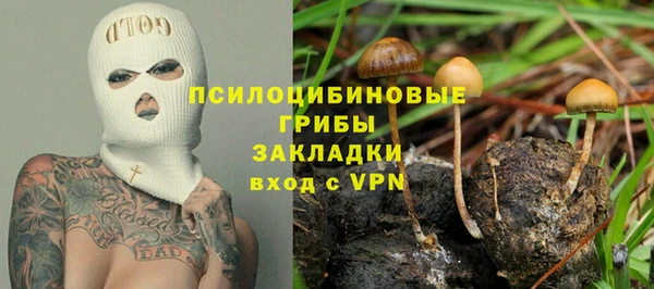 тгк Алексин
