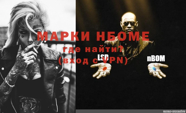 стафф Алзамай