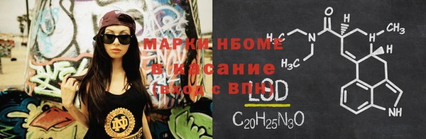 стафф Алзамай